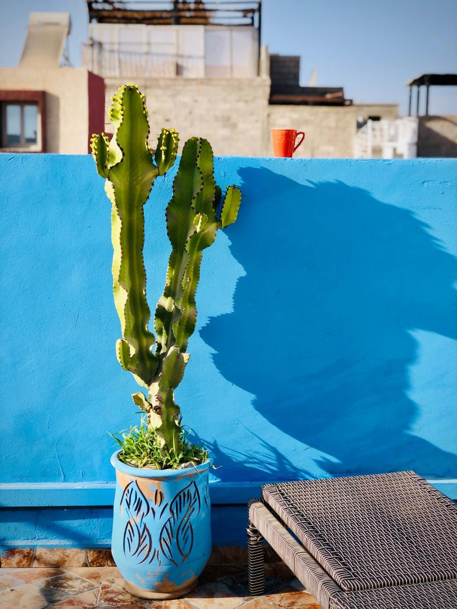 Moroccan Surf Journey Tamraght Bagian luar foto